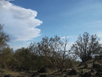 anobello-04032012 143